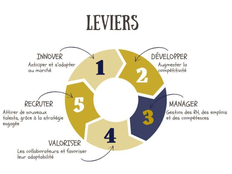 Développement des compétences : Le cycle vertueux — Kali RH
